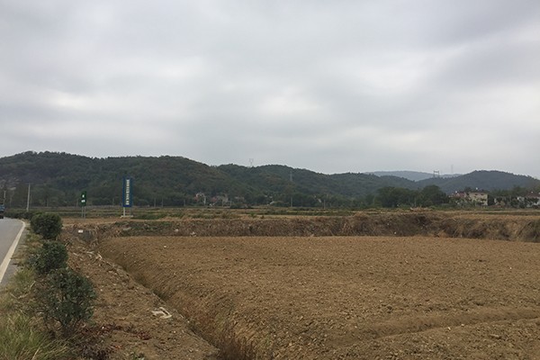 種植基地